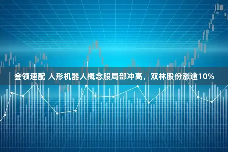 金领速配 人形机器人概念股局部冲高，双林股份涨逾10%