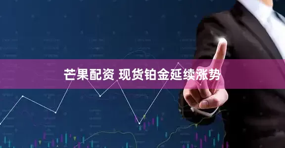 芒果配资 现货铂金延续涨势